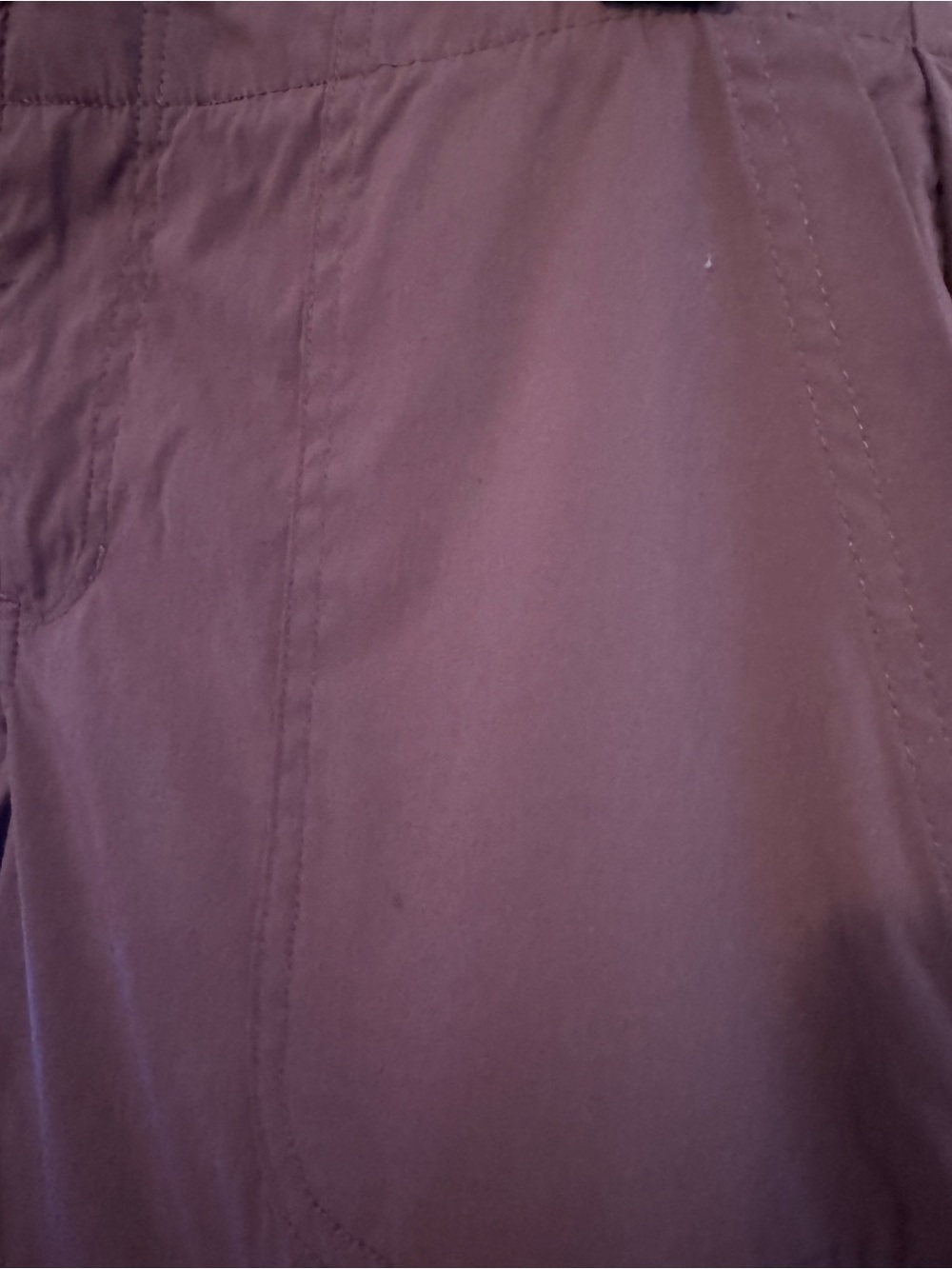 Eddie Bauer Women’s Size 4 Stretch Nylon Shorts Blue & Mauve - Picture 5 of 6